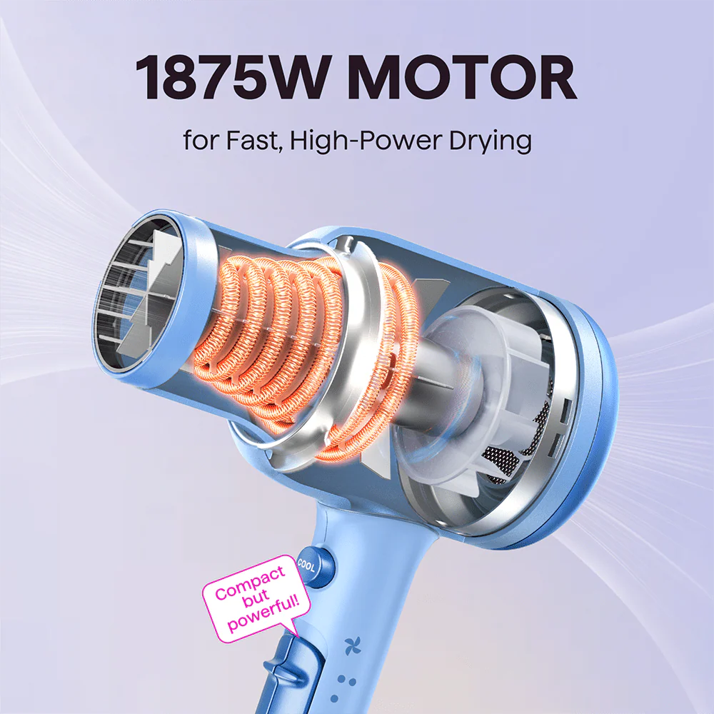 WAVYTALK 1875W AC Motor Blown Away Ionic Hair Dryer | 6 Months  Warranty